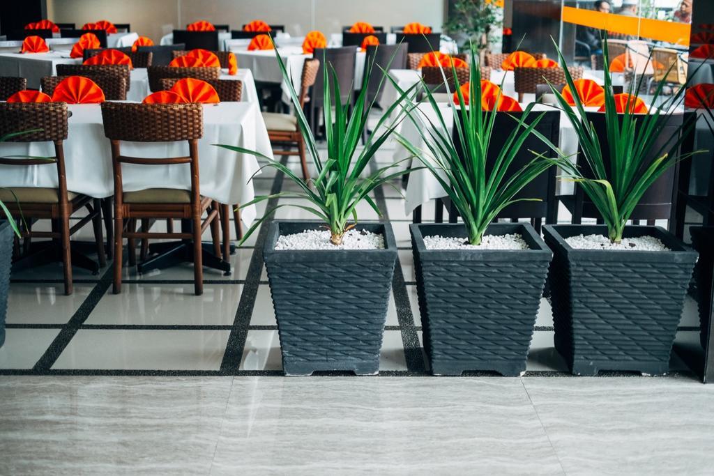 Alpha Hotel פקאנבארו מראה חיצוני תמונה